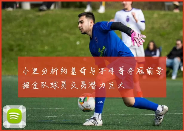 小里分析约基奇与字母哥夺冠前景掘金队球员交易潜力巨大